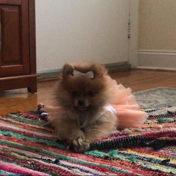 Other - Mermaid dress